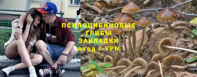 Галлюциногенные грибы Cubensis  купить наркотик  маркетплейс какой сайт  Бикин 