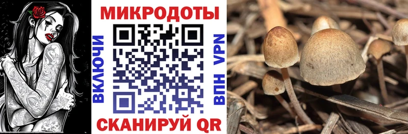 Галлюциногенные грибы Psilocybine cubensis  Бикин 